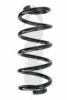 SPIDAN 86608 Coil Spring